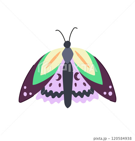 chic boho moth cartoon vector illustration 120584938