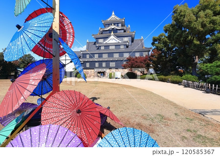 【岡山県】紅葉した岡山城の天守閣(令和の大改修後) 【岡山県】紅葉した岡山城の天守閣(令和の大改修後) 120585367