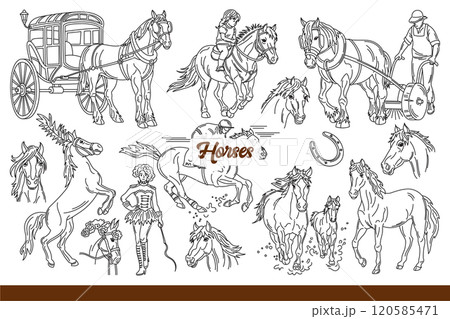 Horses performing in circus or working on plantation and riding children around park. Hand drawn. 120585471