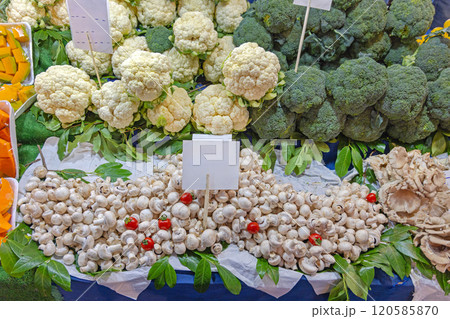 Cauliflower Broccoli Mushrooms Cauliflower Broccoli Mushrooms 120585870