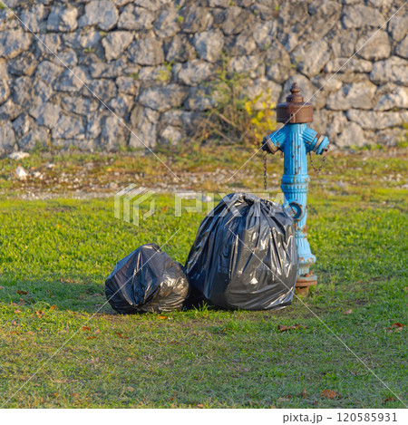 Black Trash Bags 120585931