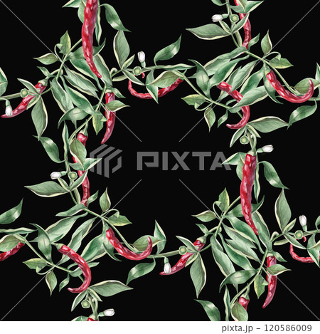 Seamless pattern of pepper wreaths. Watercolor illustration on a black background of hot peppers for packaging design, kitchen accessories, textiles and clothing 120586009