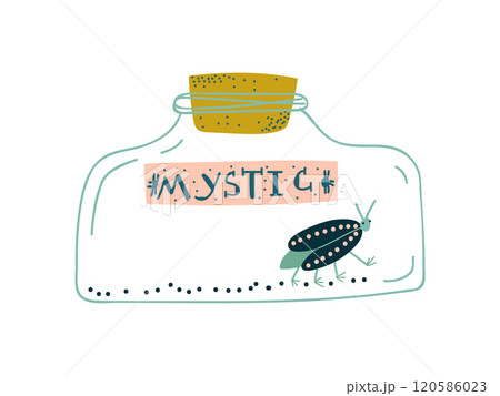 Beetle in Glass Bottle, Magic Object, Witchcraft Attribute Vector Illustration 120586023