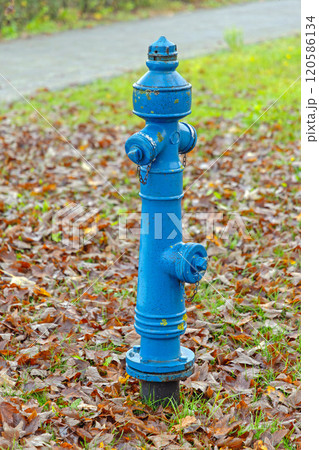 Blue Water Fire Hydrant 120586134