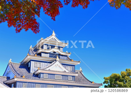 【岡山県】紅葉した岡山城の天守閣（令和の大改修後） 120586869