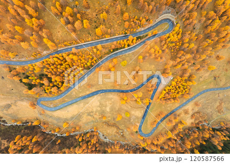 Drone view of a road with curves. Autumn. Transportation and road trips. 120587566