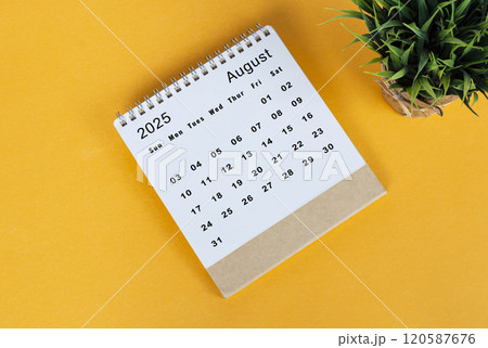 August 2025 desk calendar on yellow background. Directly above. Flat lay 120587676