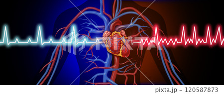 Congestive Heart Failure 120587873