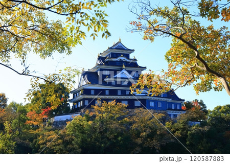 【岡山県】黄葉した岡山城（令和の大改修後） 120587883