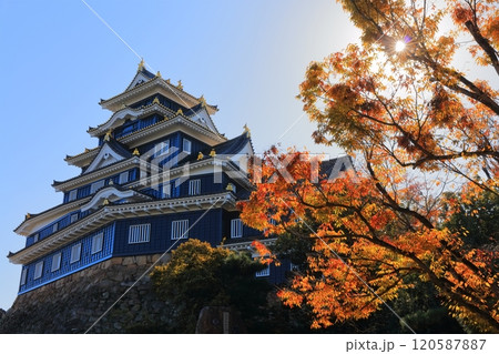 【岡山県】紅葉した岡山城(令和の大改修後) 【岡山県】紅葉した岡山城(令和の大改修後) 120587887