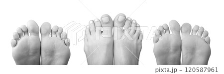 bare female feet, soles and toes peeping from the bottom. Smooth skin, neat nails, and soft pads 120587961