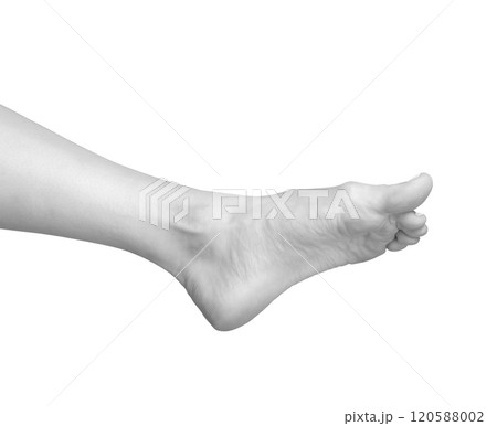 Gray scale image of a barefoot woman model with smooth, soft skin. Feet, toes, and ankle in a neat, 120588002