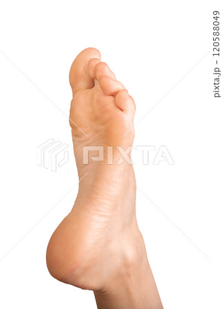 Barefoot foot with pointed toes, stretched arch, and lifted heel. Elegant model showcasing 120588049