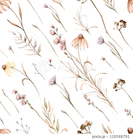 Seamless pattern with wild flowers in beige tones. Echinacea branches herbs on a white background, delicate, floral pattern. Autumn floral watercolor hand drawn illustration. floral pastel color 120588791