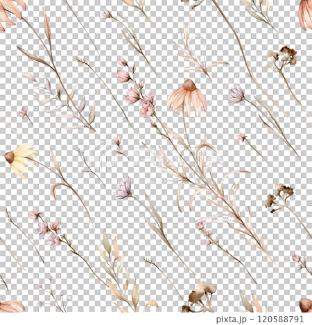 Seamless pattern with wild flowers in beige tones. Echinacea branches herbs on a white background, delicate, floral pattern. Autumn floral watercolor hand drawn illustration. floral pastel color 120588791