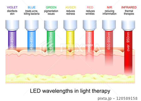 Light therapy for skin rejuvenation. Phototherapy 120589158