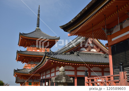 音羽山　清水寺　経堂と三重塔【重要文化財】 120589603