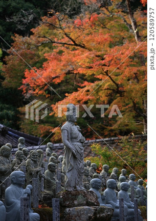 広島県三原市にある仏通寺の紅葉の写真です。 広島県三原市にある仏通寺の紅葉の写真です。 120589757
