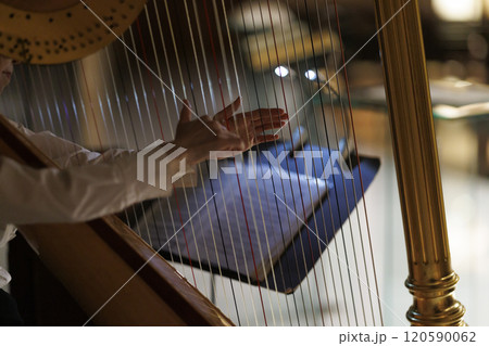 ハープ 120590062