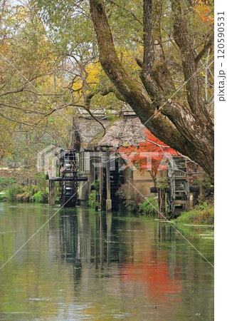 秋の安曇野 大王わさび農場の水車小屋 秋の安曇野 大王わさび農場の水車小屋 120590531