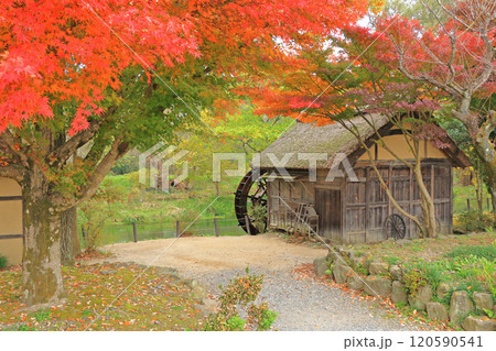 秋の安曇野 大王わさび農場の水車小屋 秋の安曇野 大王わさび農場の水車小屋 120590541