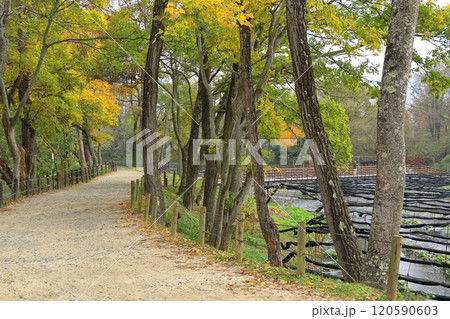 秋の安曇野　大王わさび農場の水車小屋 120590603