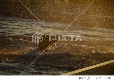 神戸須磨シーワールド 120590736