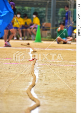 運動会綱引き 運動会綱引き 120590853