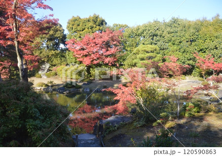 京都・無鄰菴 120590863