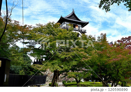 犬山城　天守閣 120590890