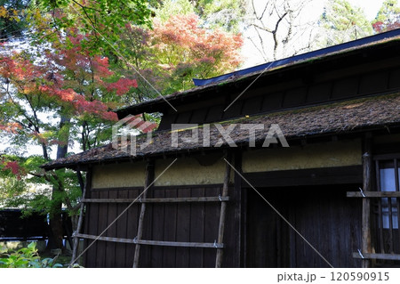 紅葉に包まれた古民家 120590915