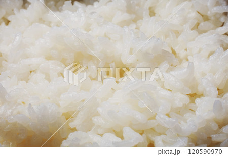 　炊きたててご飯　　白バック 120590970