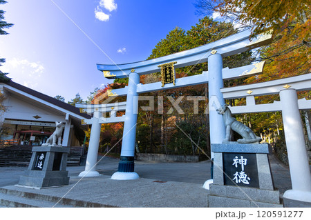 三峯神社の珍しい鳥居 三峯神社の珍しい鳥居 120591277