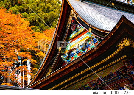 鮮やかな装飾のある神社仏閣と紅葉 120591282
