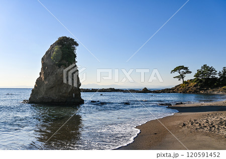 神奈川県横須賀市の立石公園 120591452