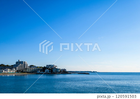 神奈川県横須賀市の立石公園 120591503