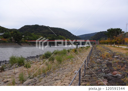 宇治川の中州 橘島から眺める朝霧橋、宇治神社方面の景色（京都府宇治市） 120591544