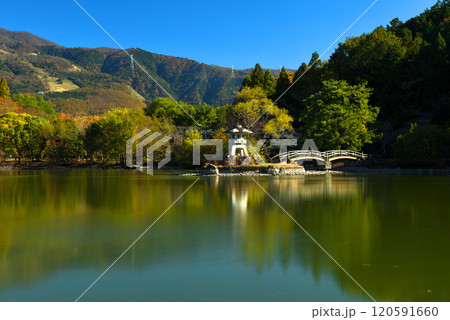 色づき始めた三島池と伊吹山 色づき始めた三島池と伊吹山 120591660