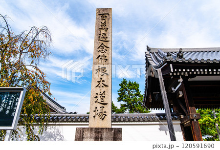 京都、百萬遍知恩寺 120591690