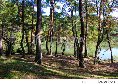 三段池公園 三段池公園 120591724
