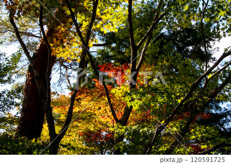 三段池公園 三段池公園 120591725