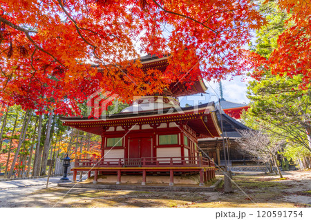 高野山 壇上伽藍 紅葉に包まれた東塔 高野山 壇上伽藍 紅葉に包まれた東塔 120591754