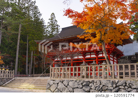 高野山　壇上伽藍　紅葉に包まれた中門 120591774