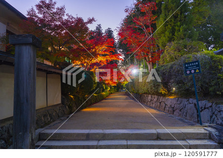 高野山 壇上伽藍 紅葉に包まれた蛇腹路のライトアップ 高野山 壇上伽藍 紅葉に包まれた蛇腹路のライトアップ 120591777
