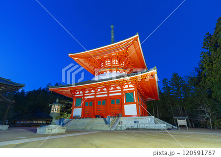 高野山　壇上伽藍　根本大塔ライトアップ 120591787