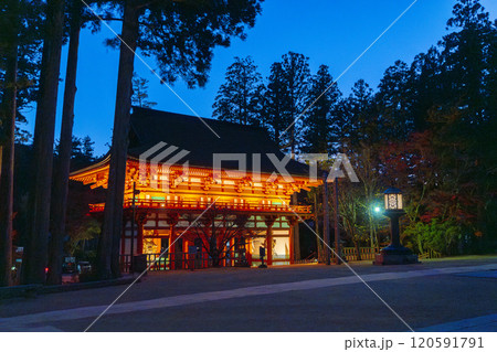 高野山 壇上伽藍 中門ライトアップ 高野山 壇上伽藍 中門ライトアップ 120591791