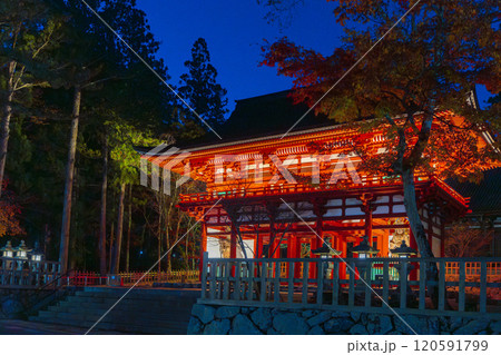 高野山　壇上伽藍　中門ライトアップ 120591799