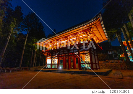 高野山　壇上伽藍　中門ライトアップ 120591801