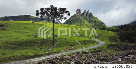 Scenic beauty of Soldados Sebold, destination in Santa Catarina, Brazil. 120591853