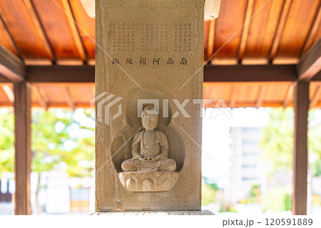 京都、百萬遍知恩寺境内 京都、百萬遍知恩寺境内 120591889